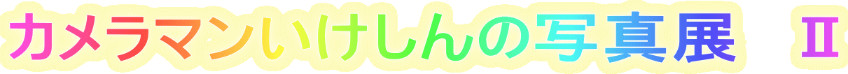 �J�����}����������̎ʐ^�W�@�U